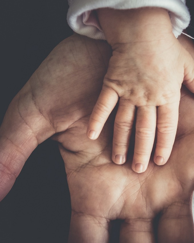 domiciliary home care support visit